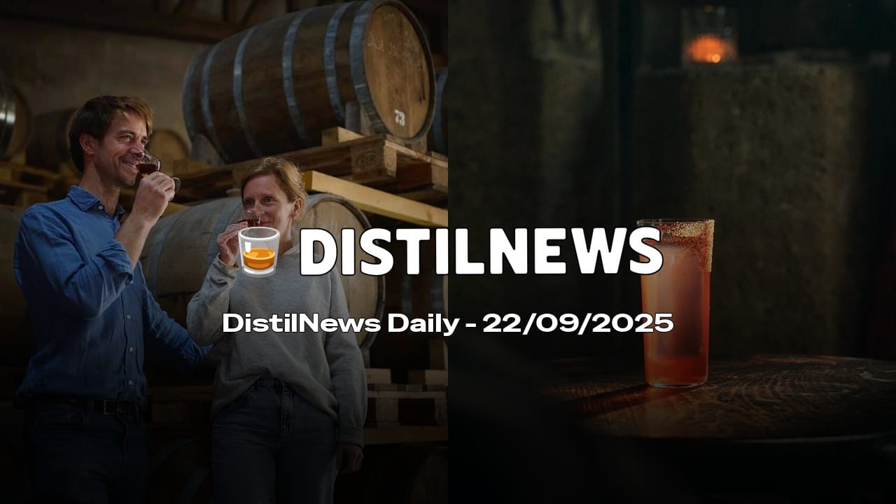 DistilNews Daily #816