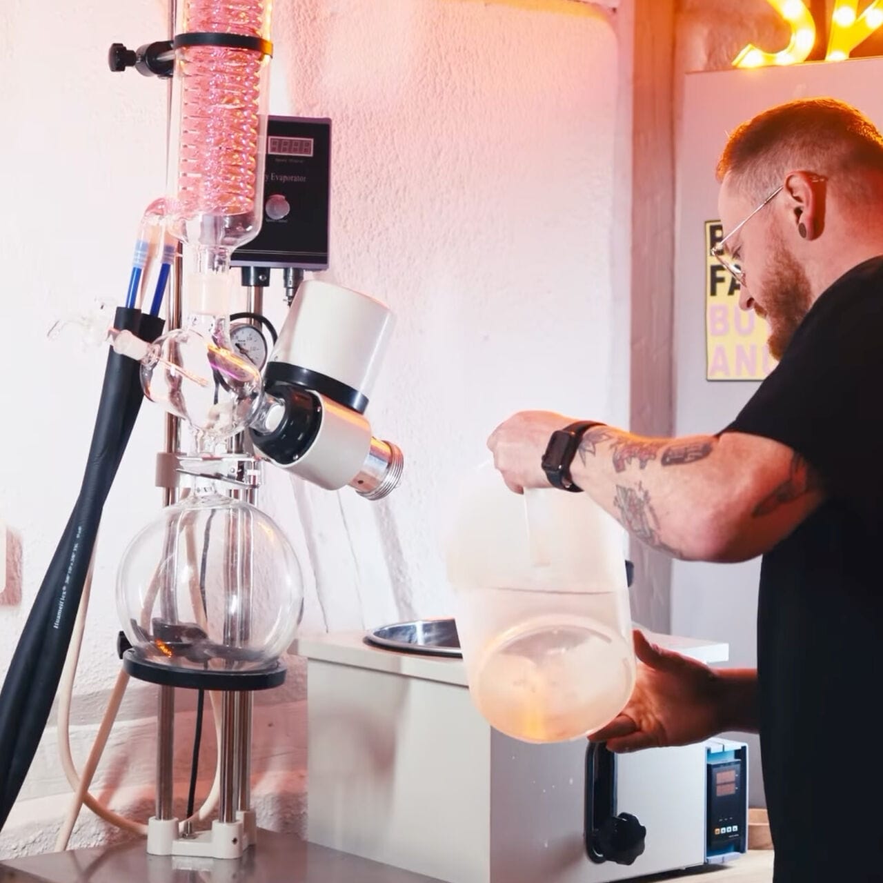 Salade, tomate, bongo ?