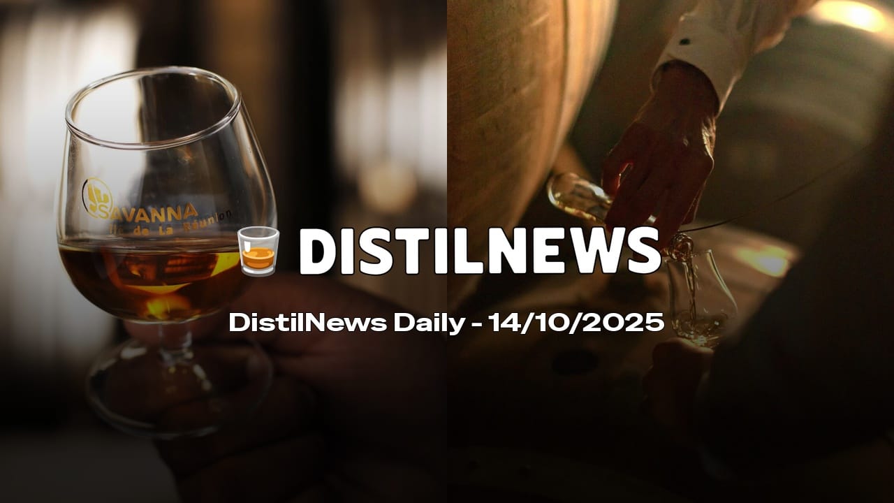 DistilNews Daily #832