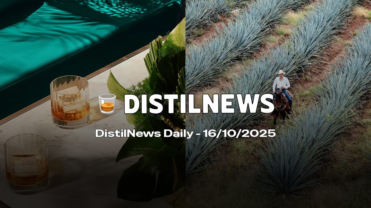 DistilNews Daily #834