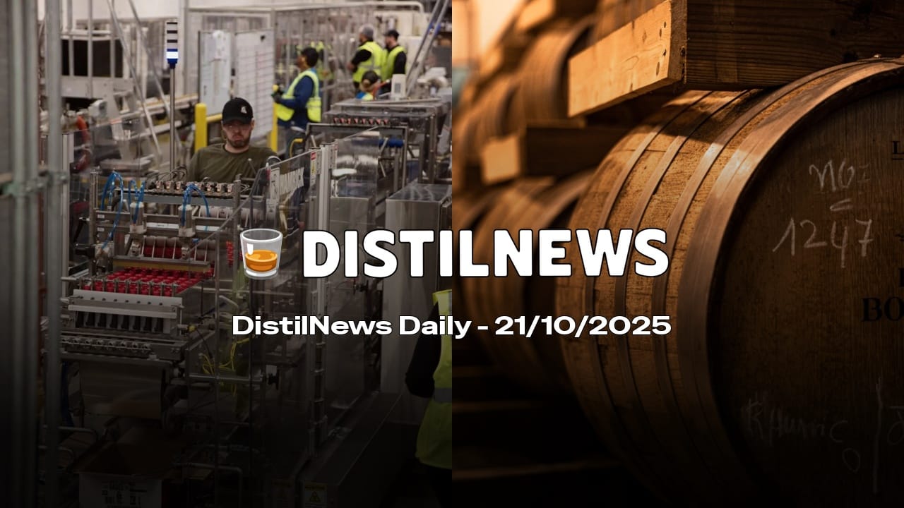 DistilNews Daily #837