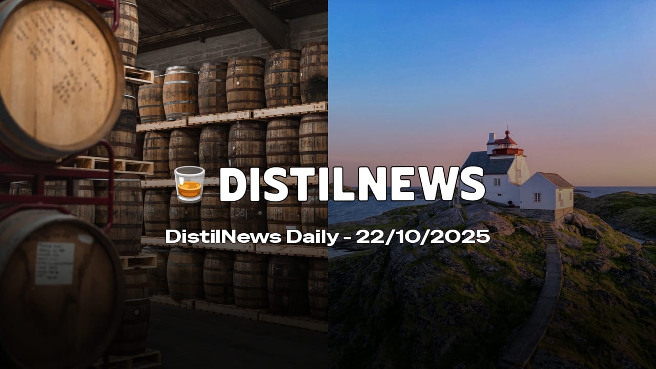 DistilNews Daily #838