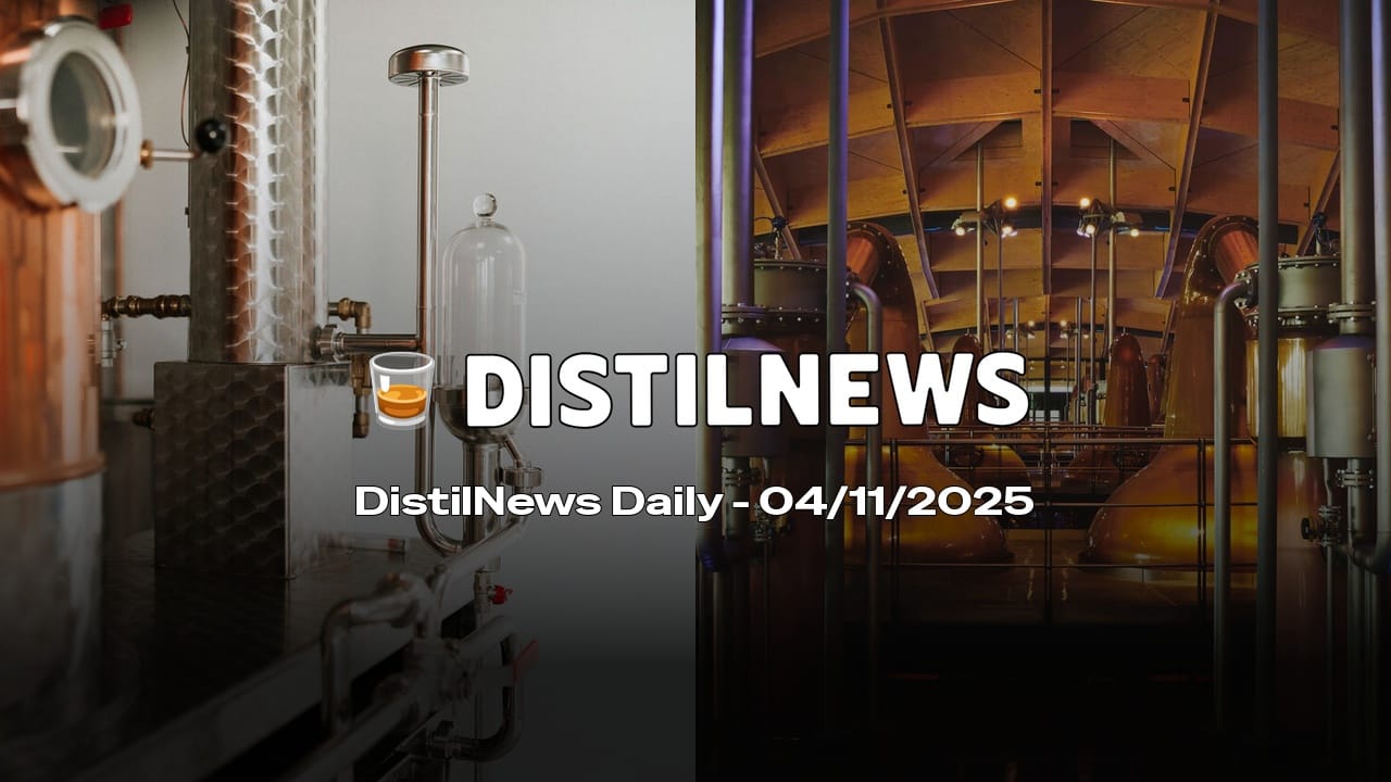 DistilNews Daily #847