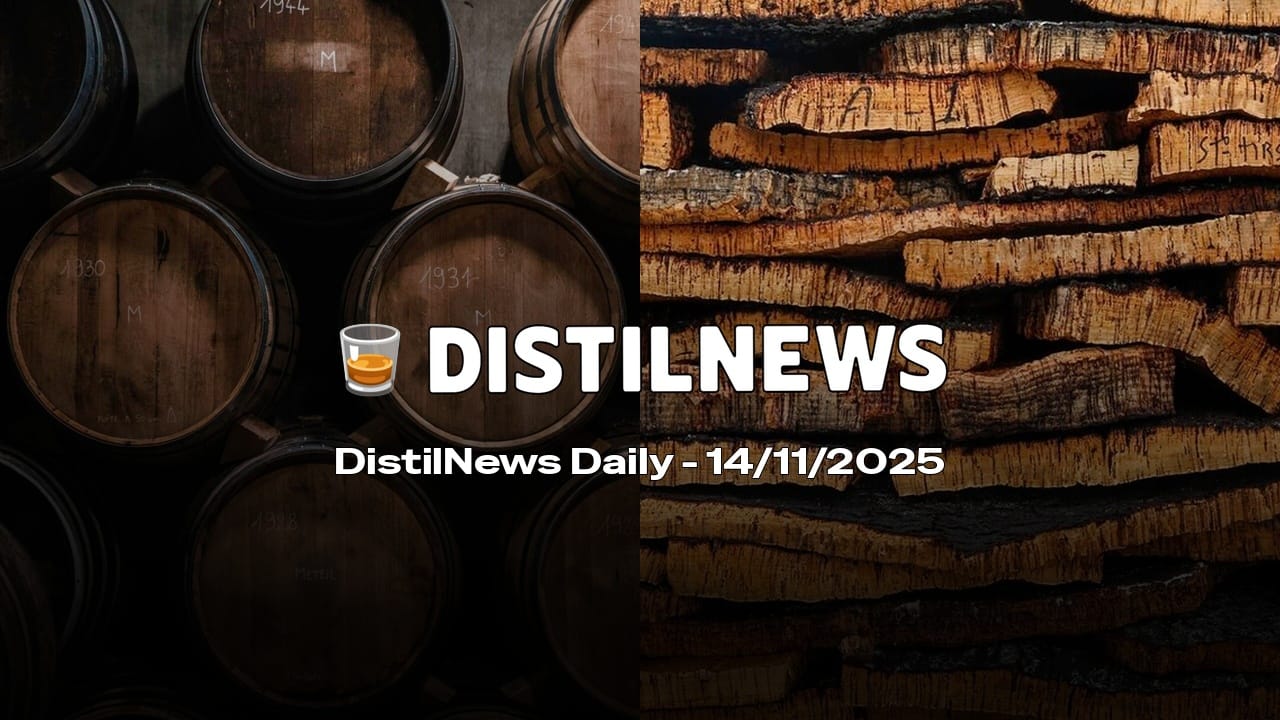 DistilNews Daily #853