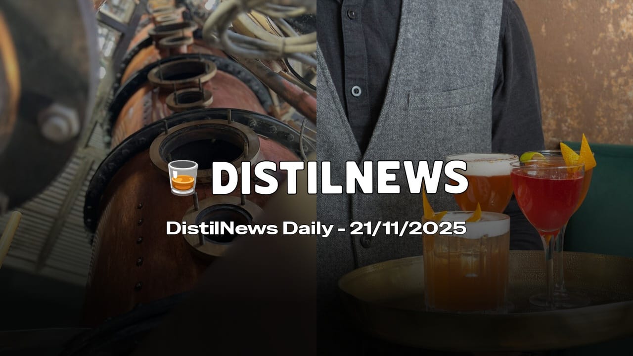 DistilNews Daily #858