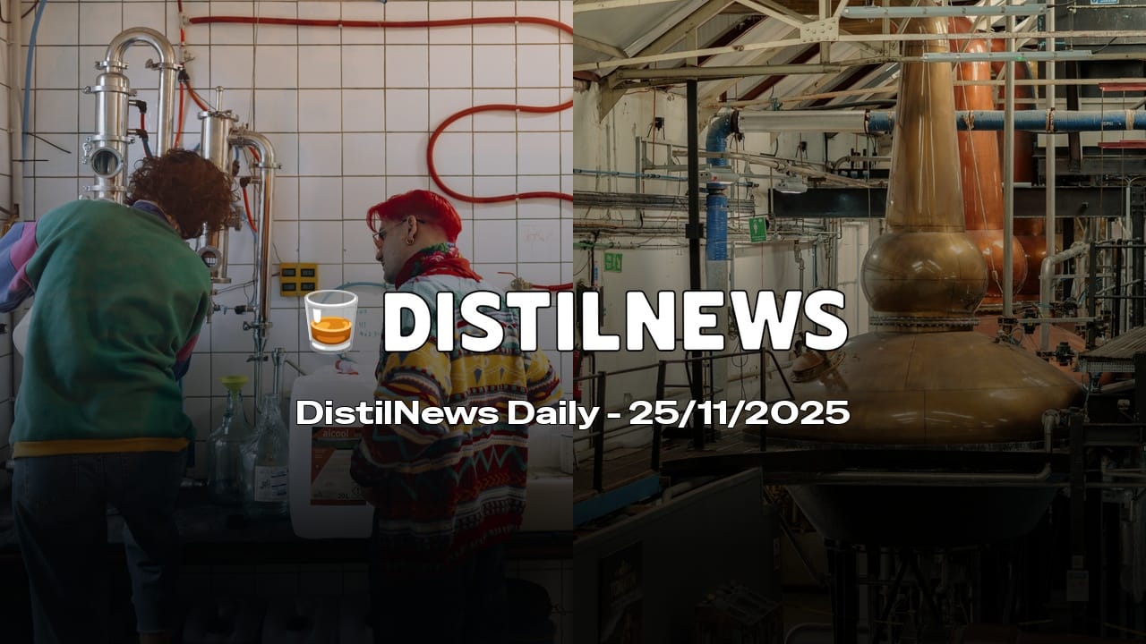 DistilNews Daily #860