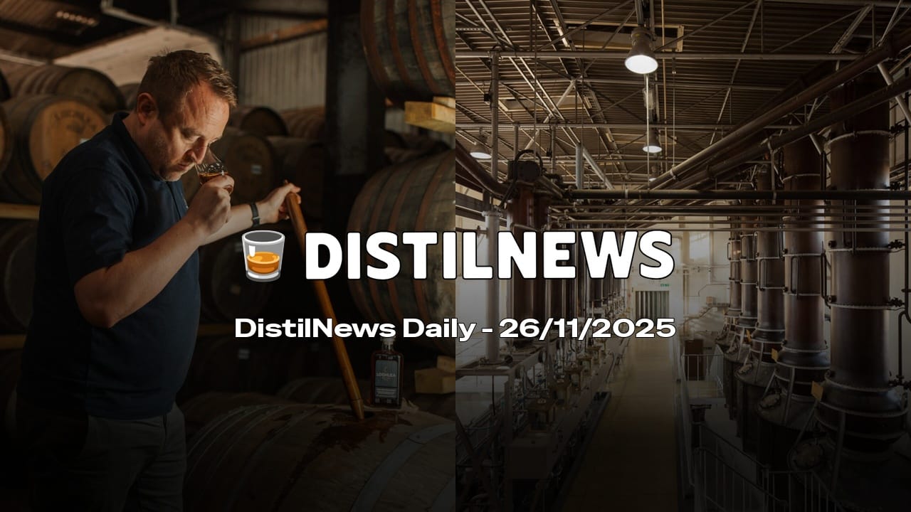 DistilNews Daily #861