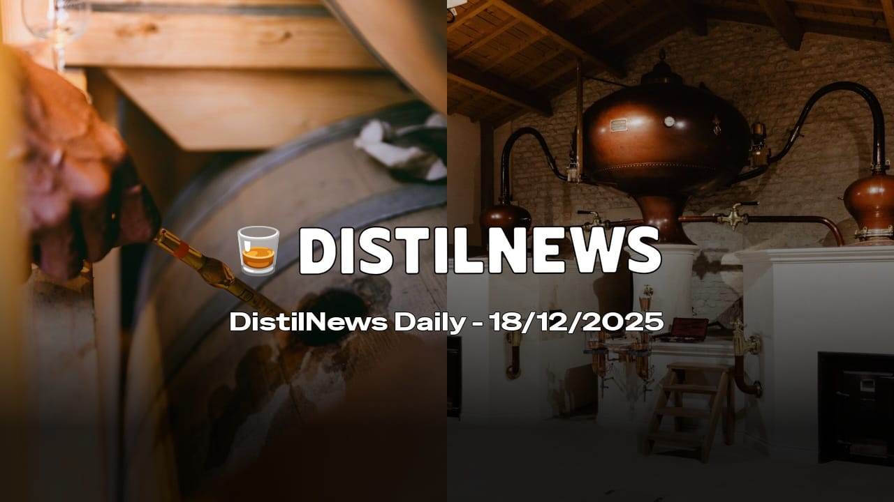 DistilNews Daily #877