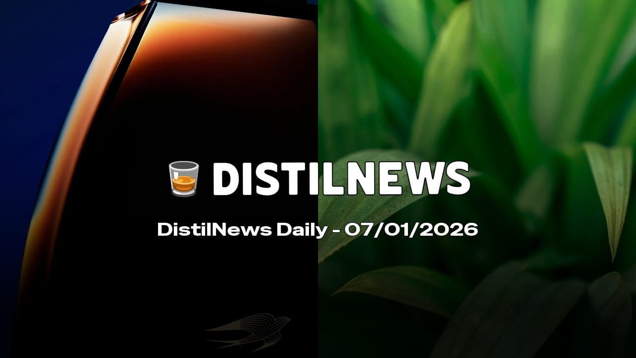 DistilNews Daily #881