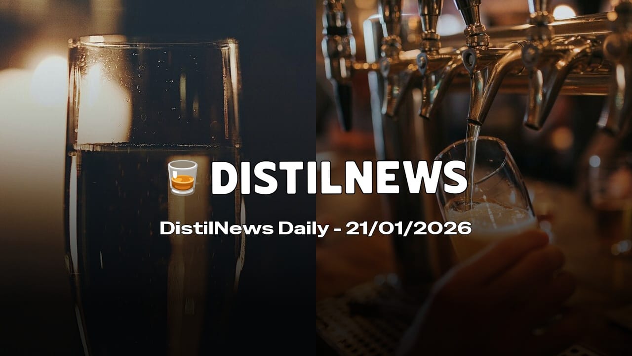 DistilNews Daily #891