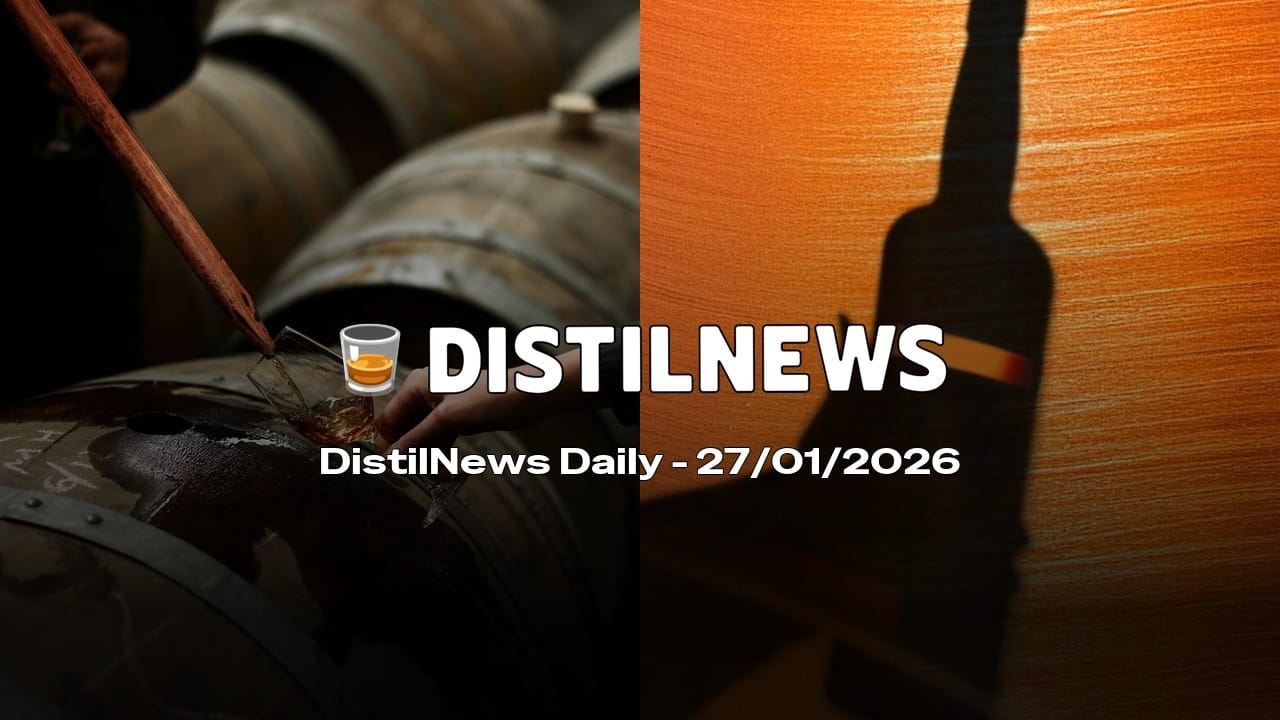 DistilNews Daily #895