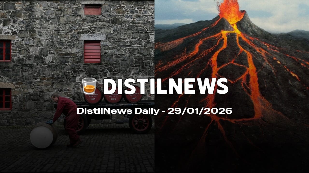 DistilNews Daily #897