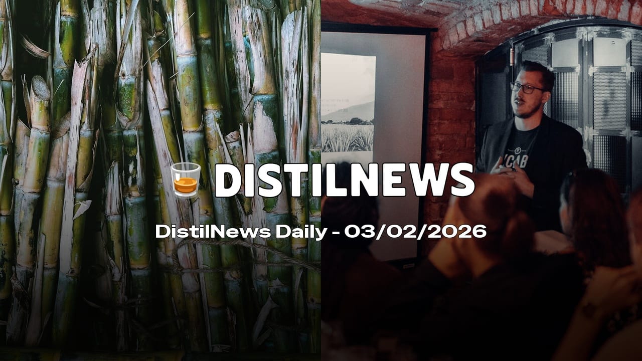 DistilNews Daily #900