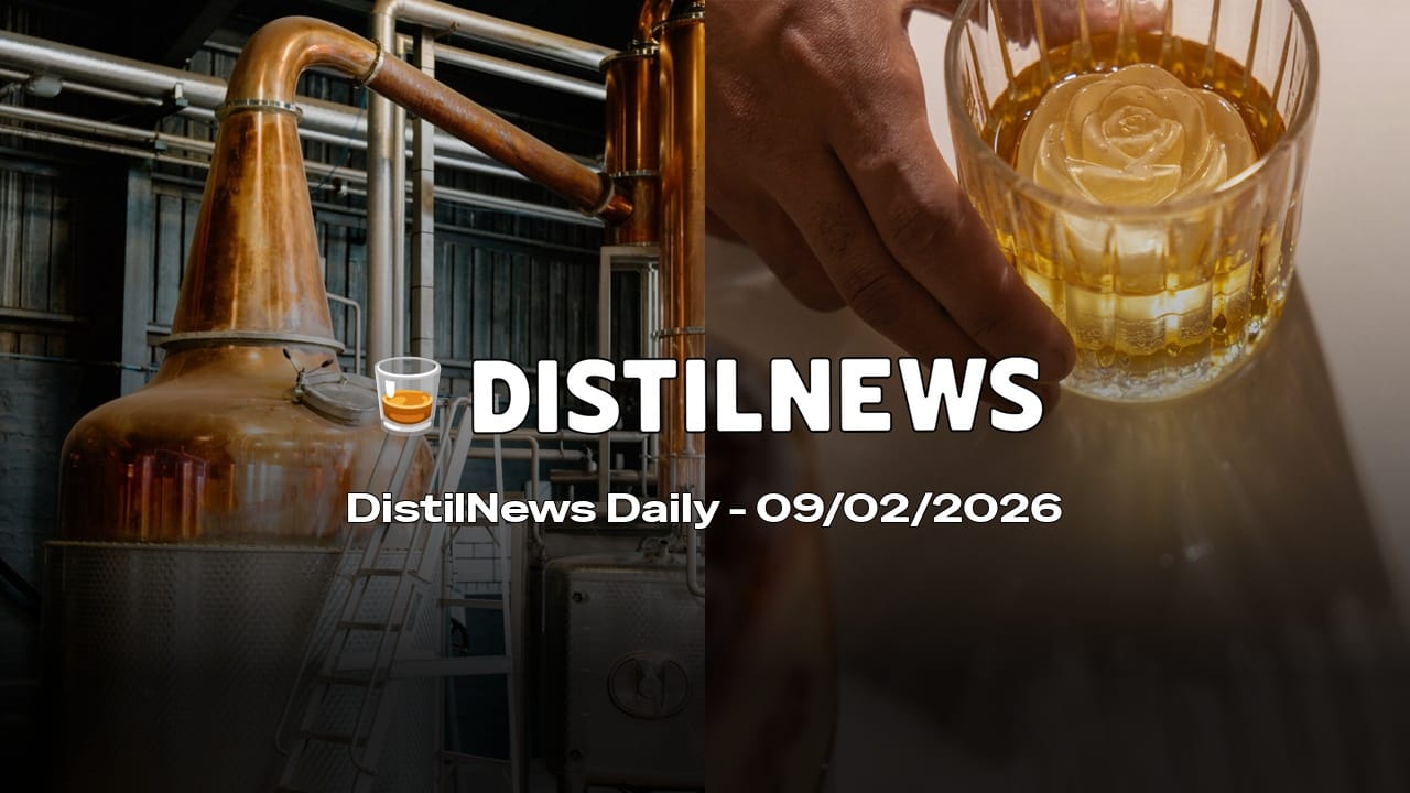 DistilNews Daily #904