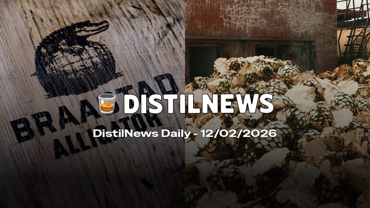 DistilNews Daily #907