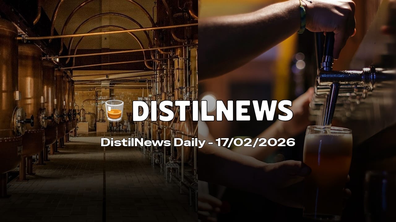 DistilNews Daily #910