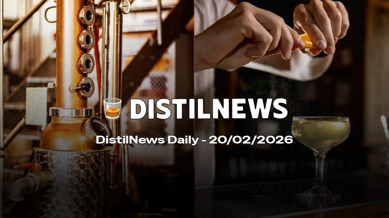 DistilNews Daily #913