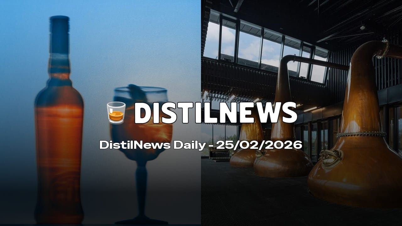 DistilNews Daily #916