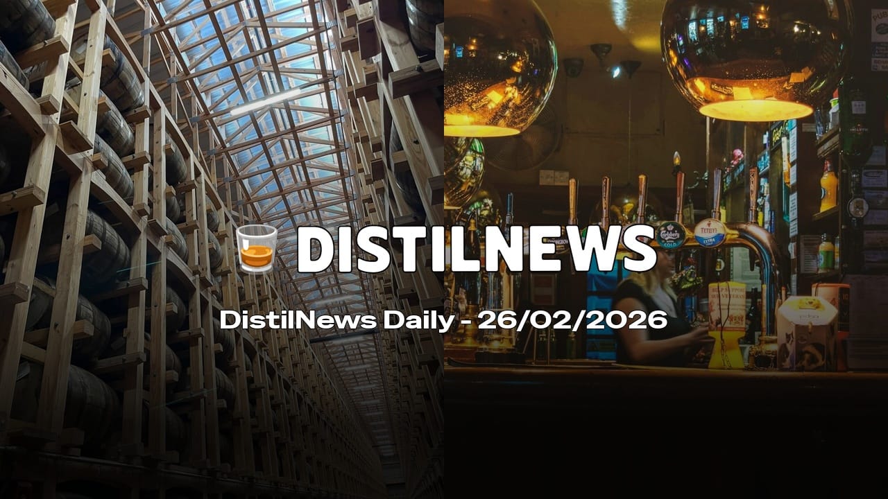 DistilNews Daily #917