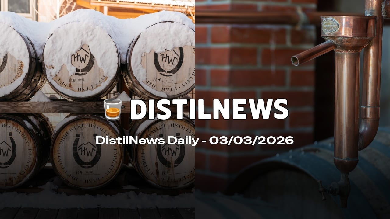 DistilNews Daily #920