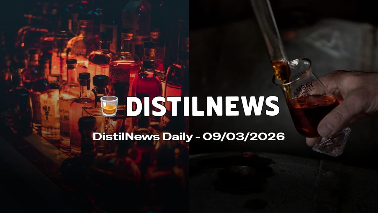 DistilNews Daily #924