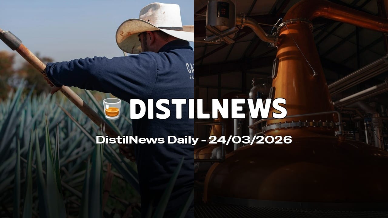 DistilNews Daily #935