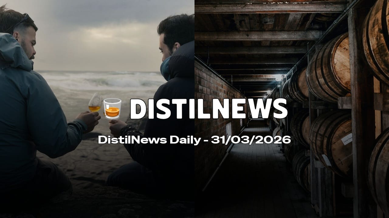 DistilNews Daily #940