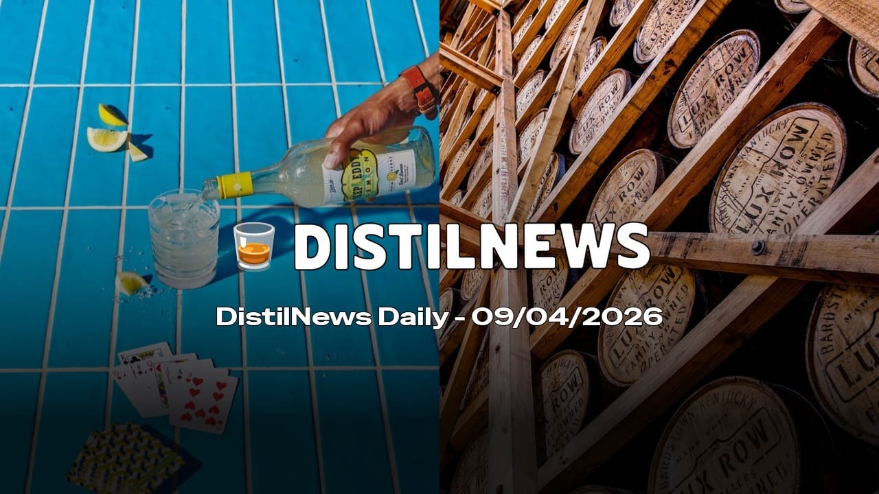 DistilNews Daily #946