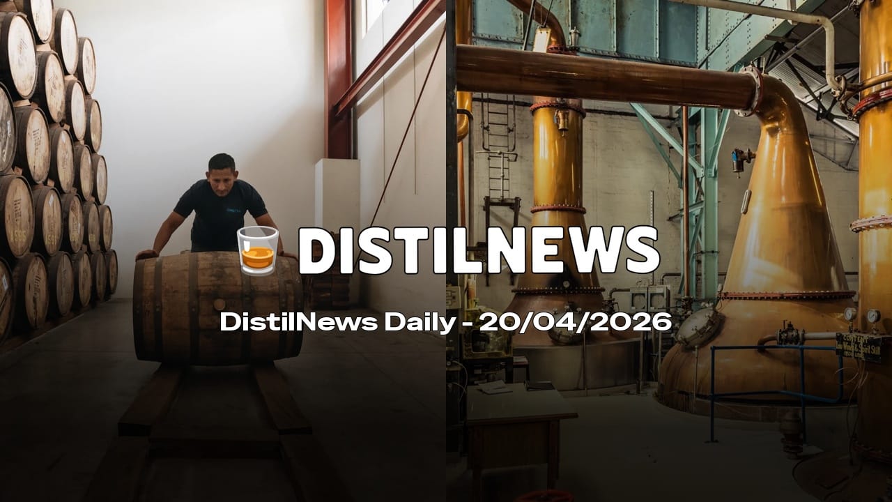 DistilNews Daily #953