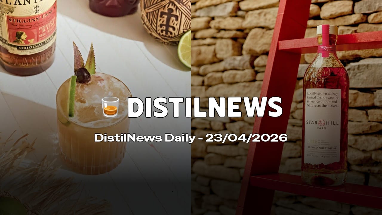 DistilNews Daily #956