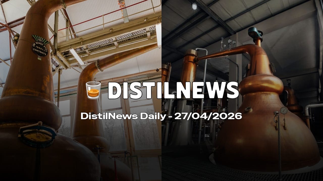 DistilNews Daily #958