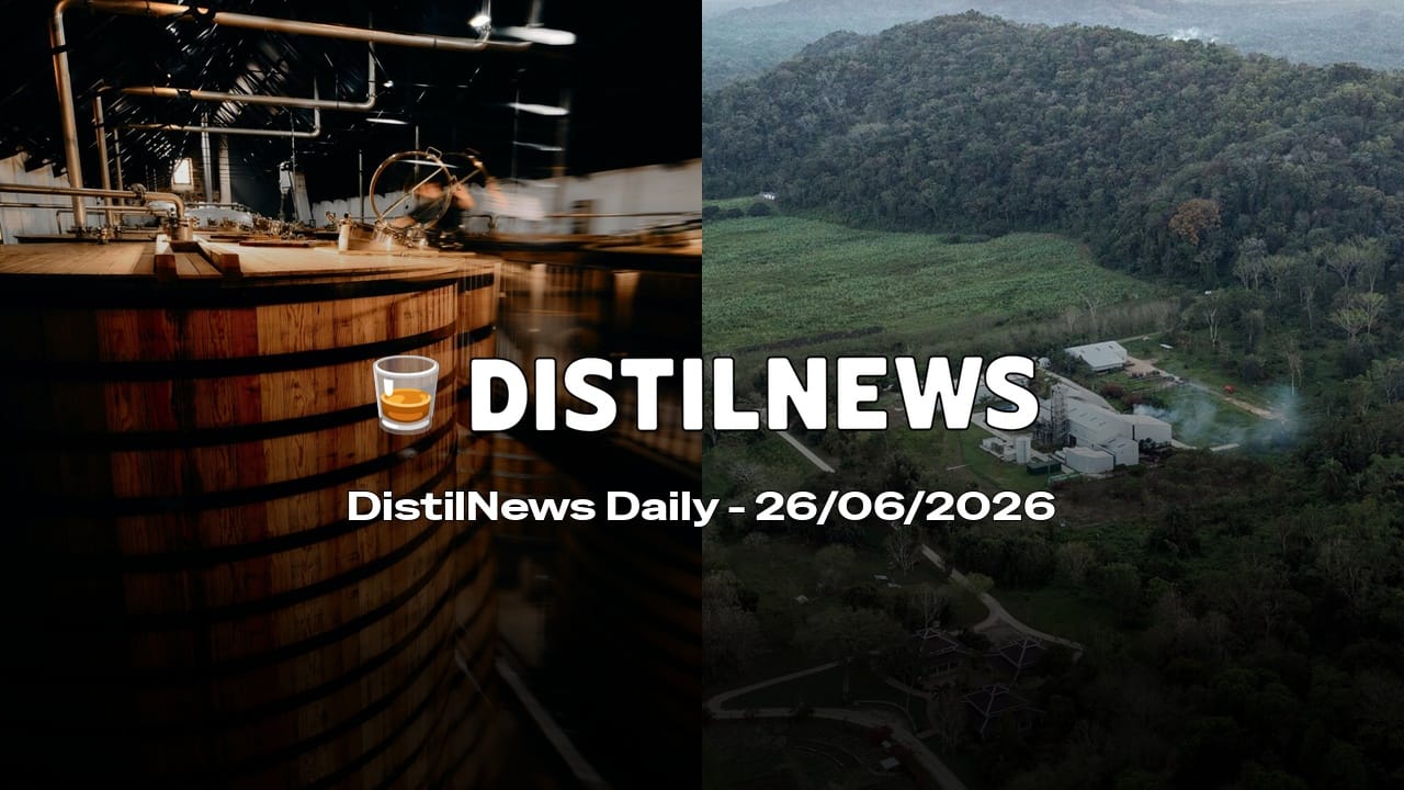 DistilNews Daily #997