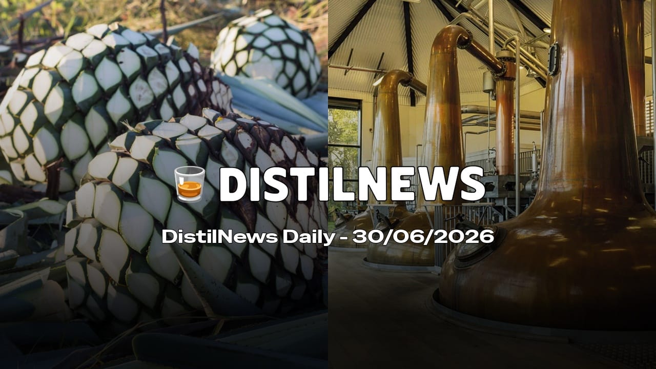 DistilNews Daily #999
