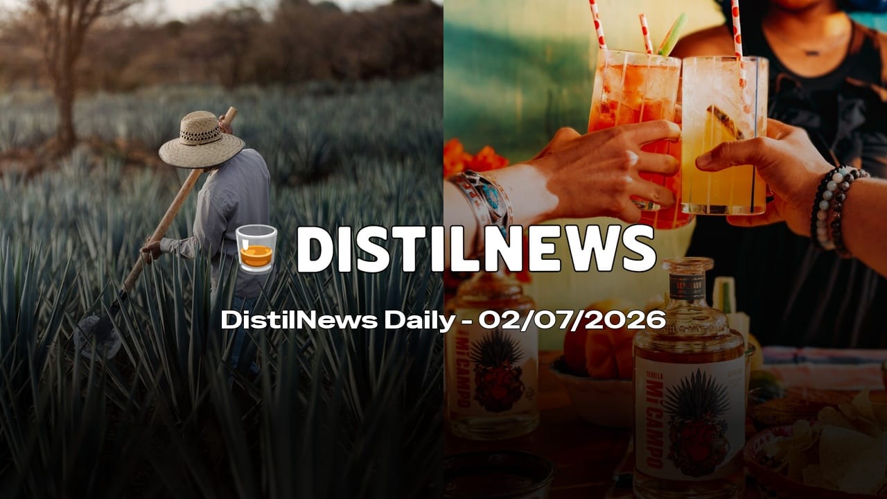 DistilNews Daily #1001