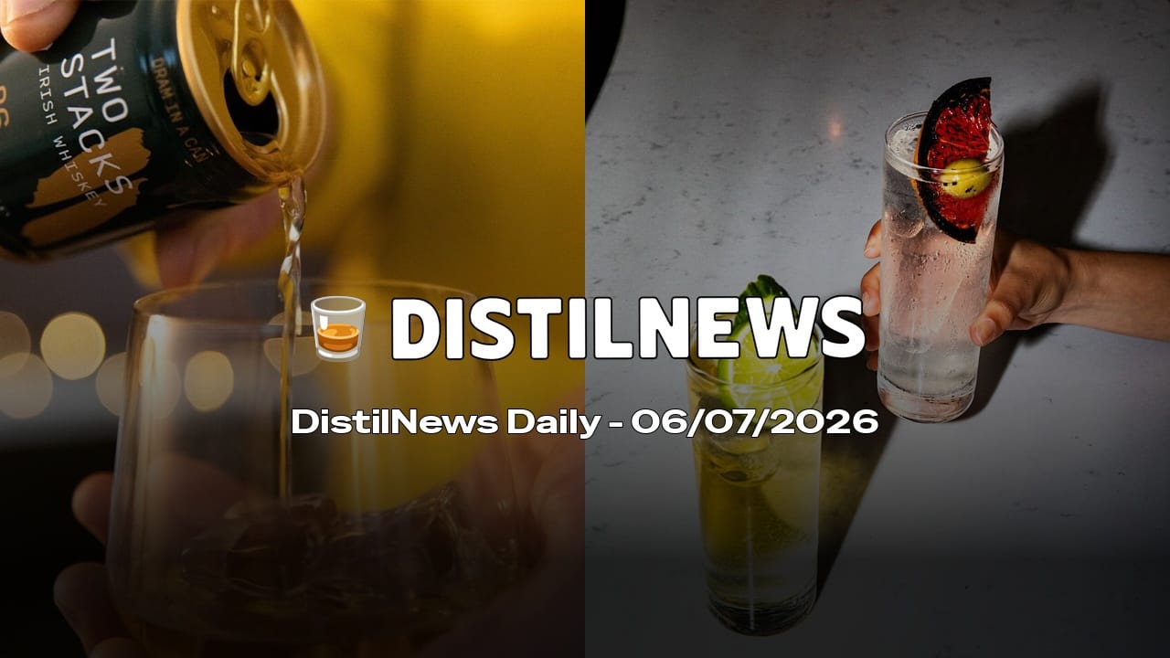 DistilNews Daily #1003