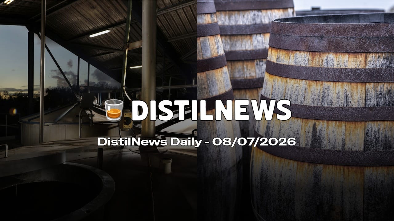 DistilNews Daily #1005