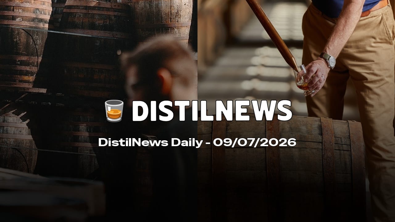 DistilNews Daily #1006