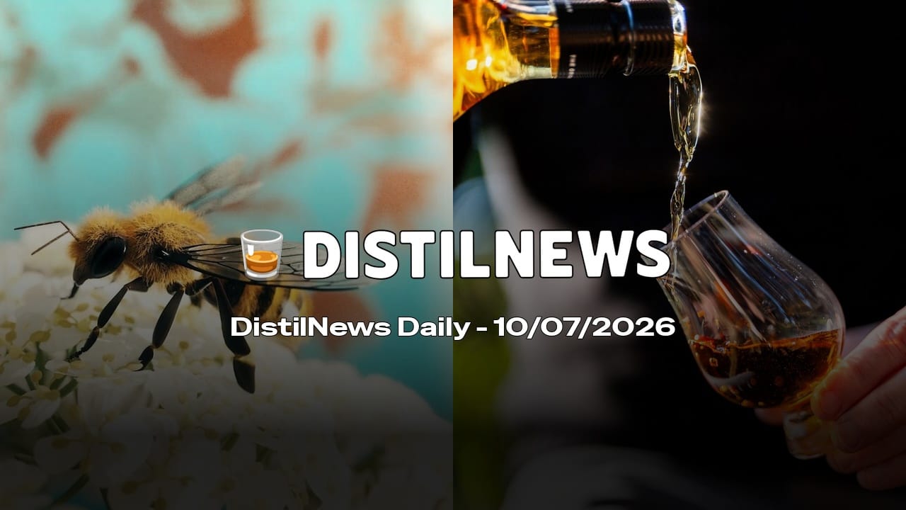 DistilNews Daily #1007