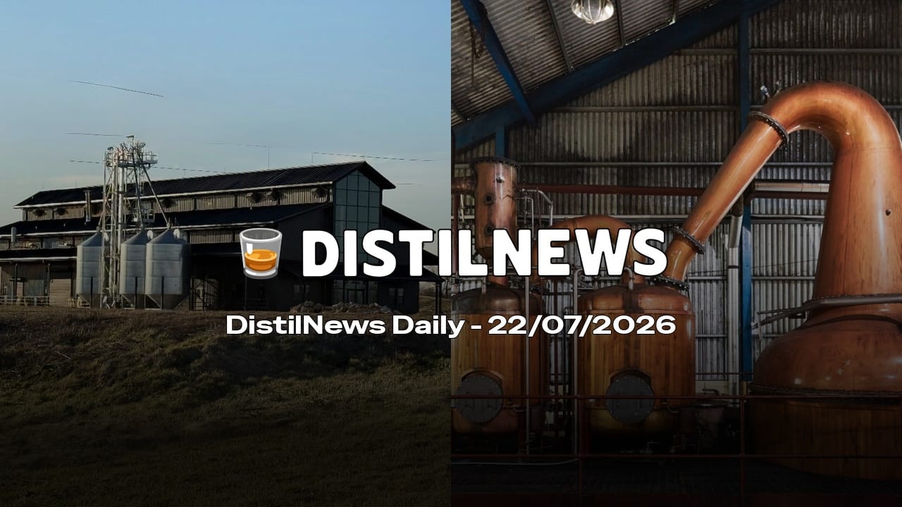 DistilNews Daily #1013