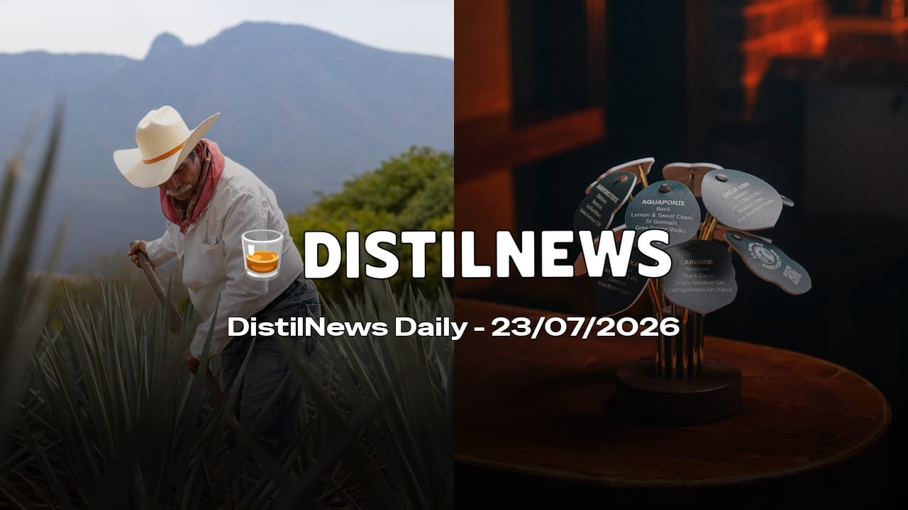 DistilNews Daily #1014