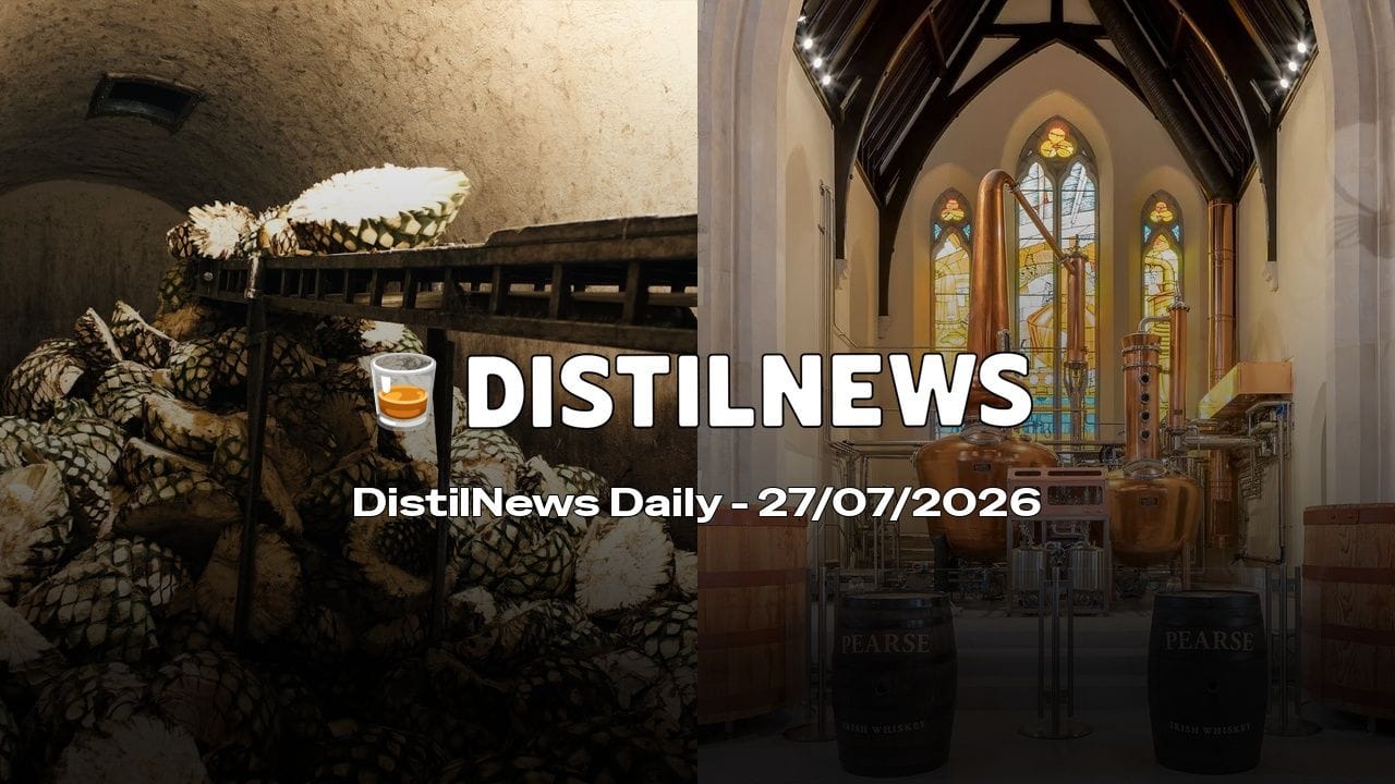 DistilNews Daily #1016