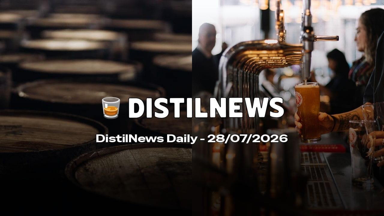DistilNews Daily #1017