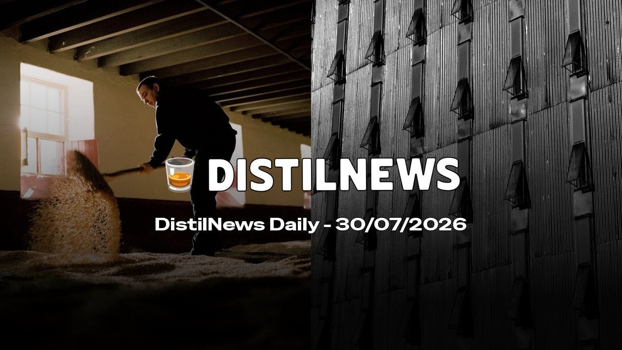 DistilNews Daily #1019