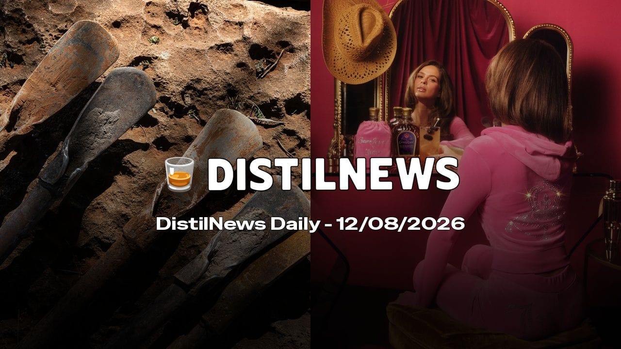 DistilNews Daily #1028