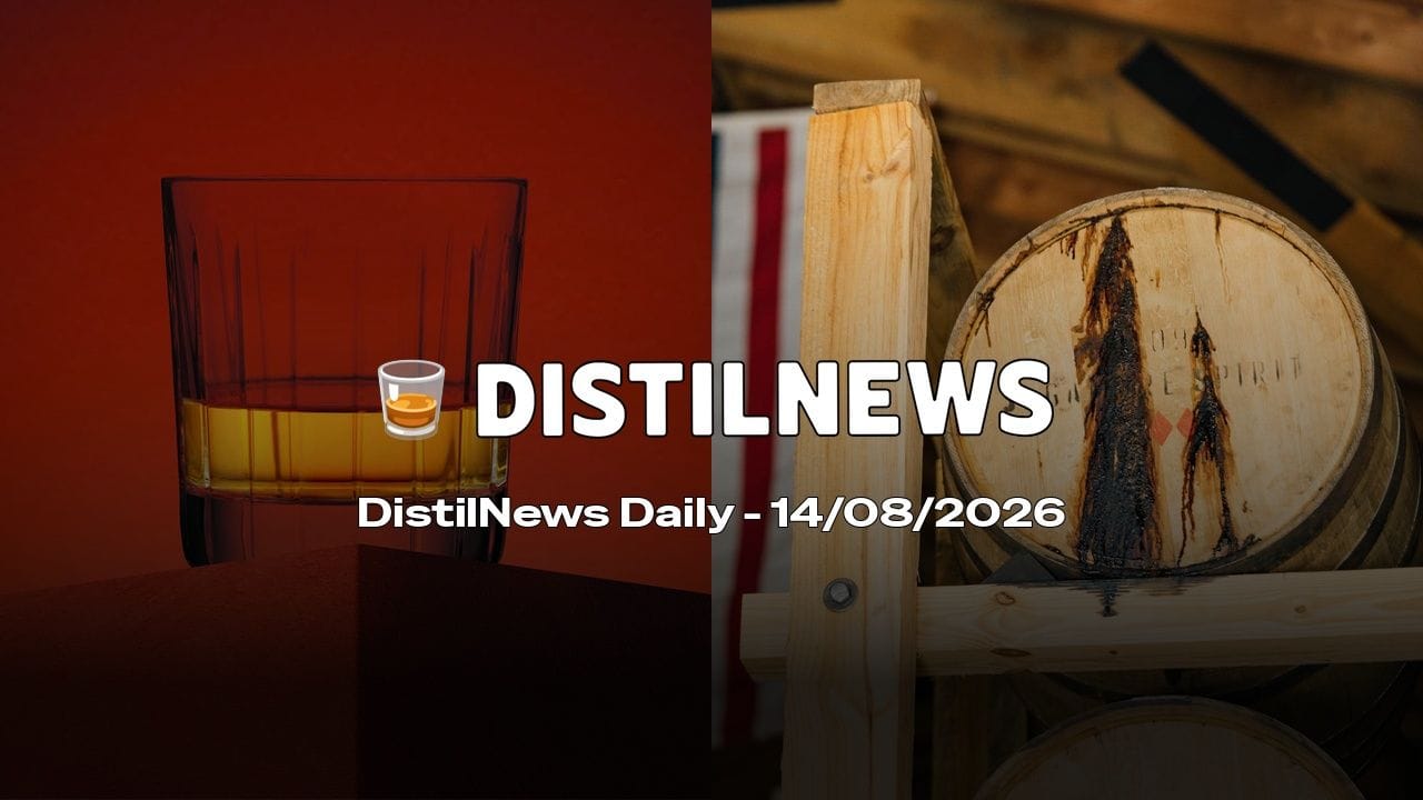 DistilNews Daily #1030