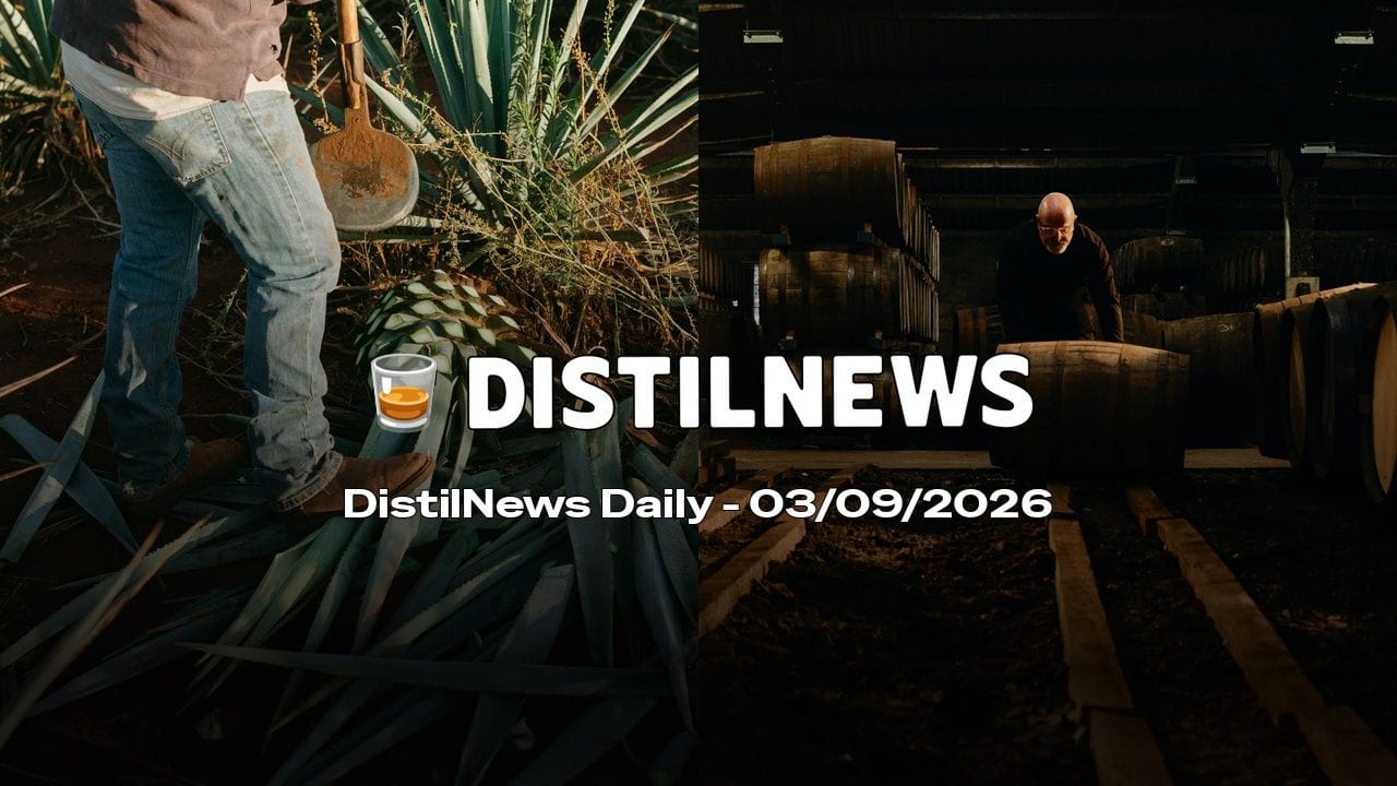 DistilNews Daily #1034