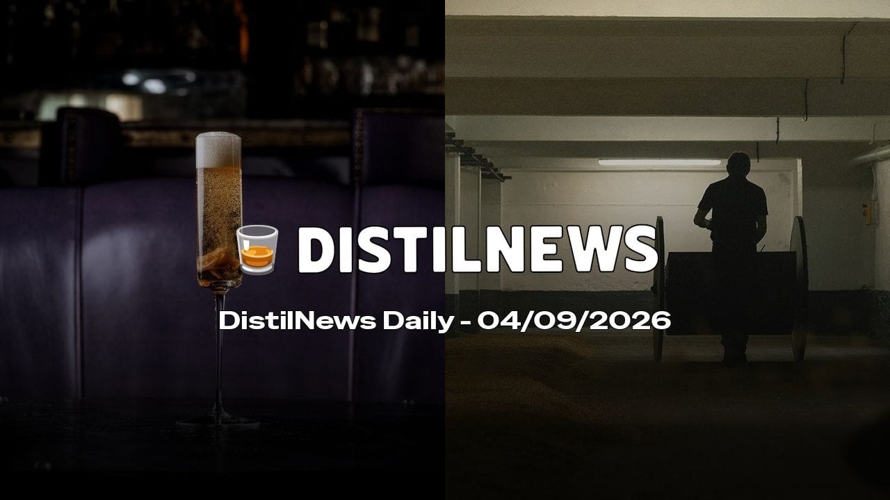 DistilNews Daily #1035