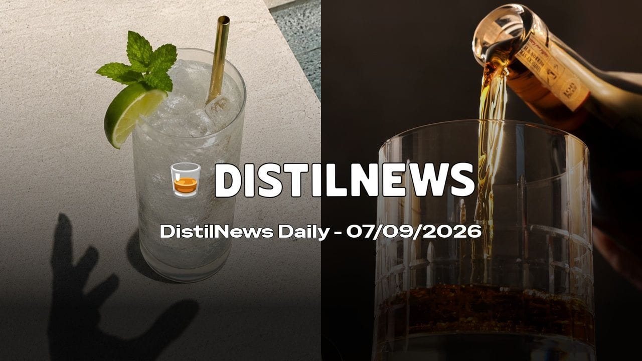 DistilNews Daily #1036