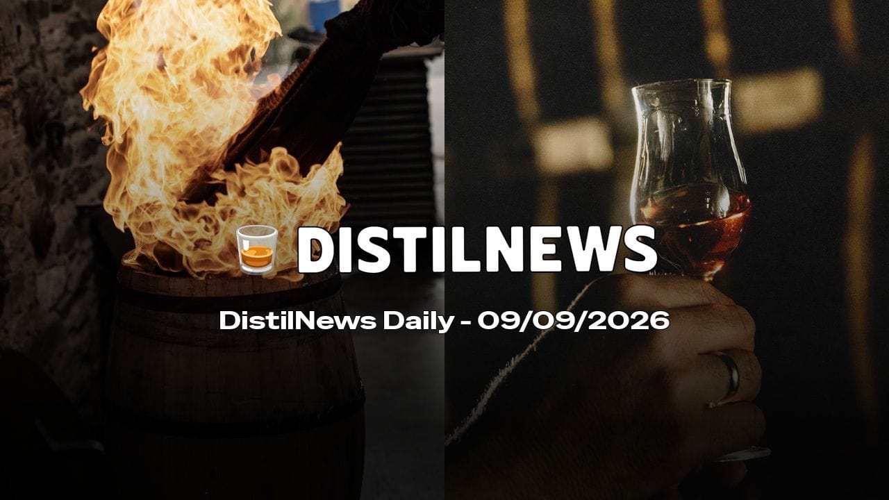 DistilNews Daily #1038