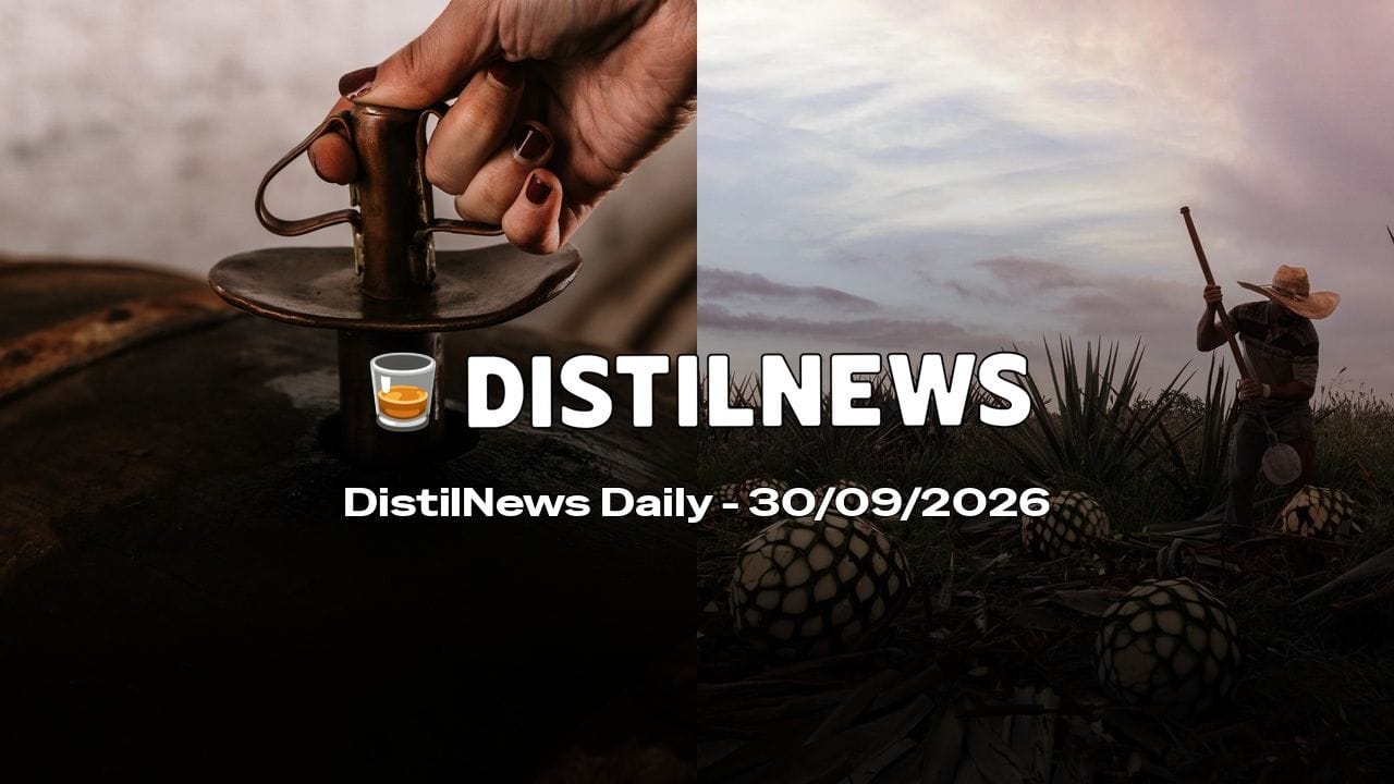 DistilNews Daily #1053